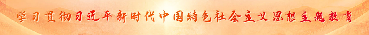 學(xué)習(xí)貫徹習(xí)近平新時(shí)代中國(guó)特色社會(huì)主義思想主題教育